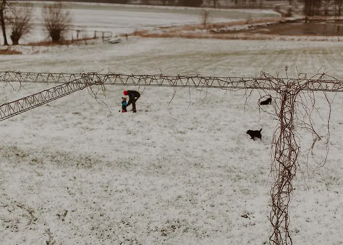 Willa Słoneczna * Dębowiec